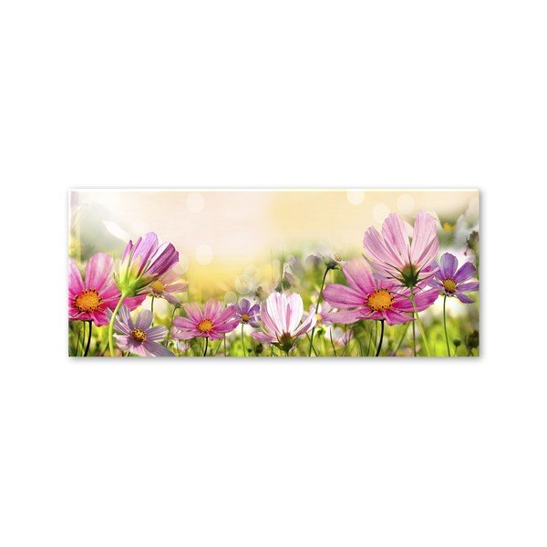Obraz Styler Glas Flowers Astry, 50x125 cm