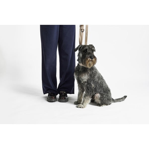 Beżowa obroża w rozmiarze L/XL długość 40 cm Modena Greige L/XL – MiaCara-image-4