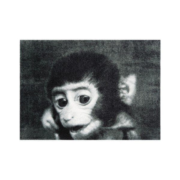 Szara wycieraczka Hans Home StateMat Monkey, 50x75 cm