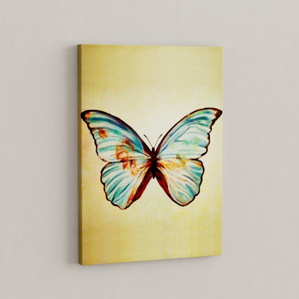 Obraz Motyl, 50x70 cm