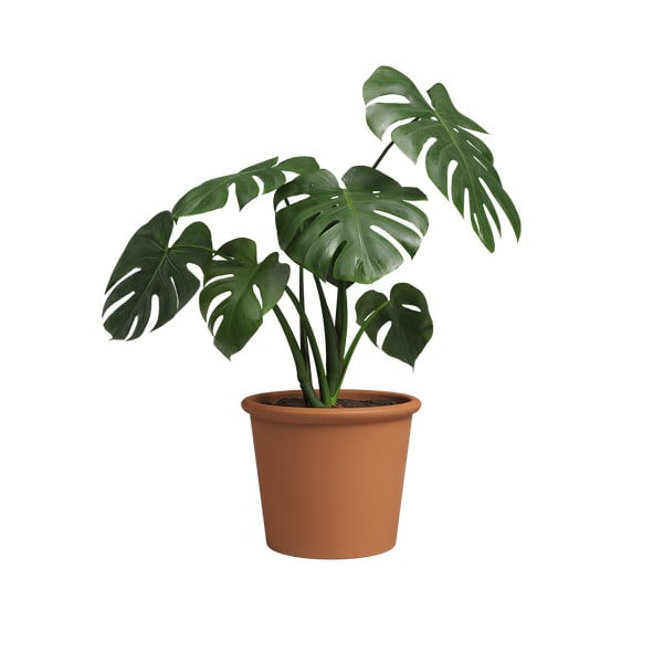 Terakotowa doniczka ø 39 cm Saramago Cilindro – Artevasi-image-3