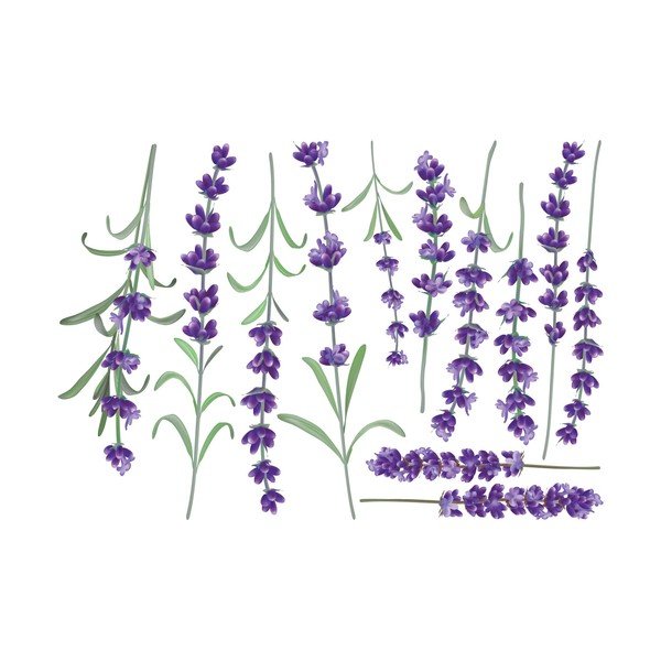 Komplet naklejek ściennych Ambiance Levanders-image-2