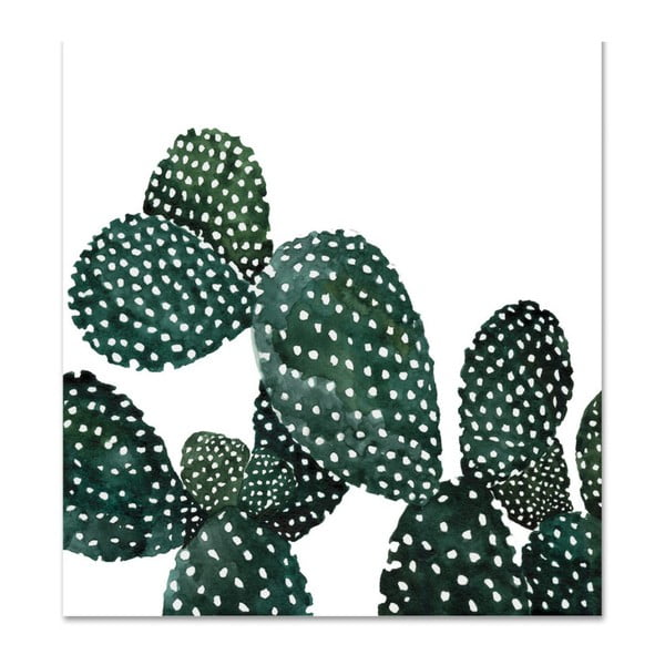 Plakat Leo La Douce Cactus Family, 30x30 cm