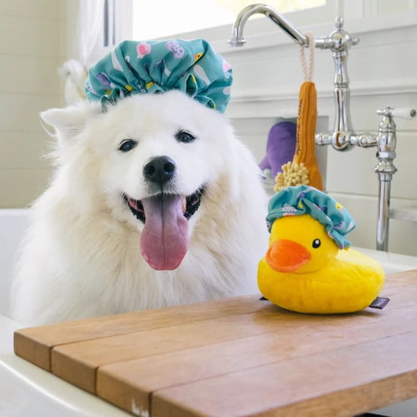 Zabawka dla psa Czepek – P.L.A.Y.-image-1