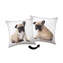 Poduszka dziecięca 40x40 cm Bulldog – Jerry Fabrics