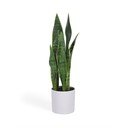 Sztuczna roślina (wysokość 55 cm) Sansevieria – Kave Home