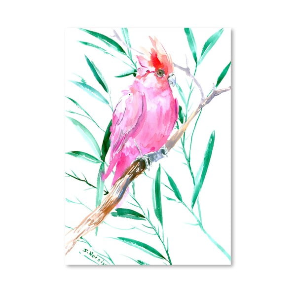 Plakat Cockatoo Pink
