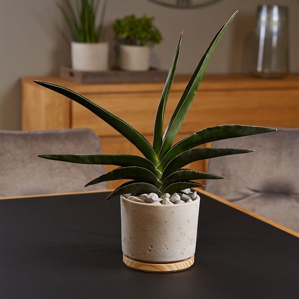Szara ceramiczna doniczka Big pots, ø 16 cm-image-1