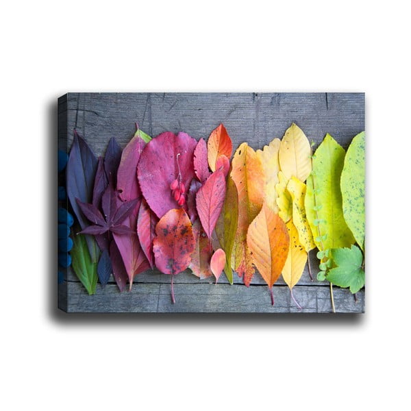 Obraz Tablo Center Gradient Leaves, 70x50 cm