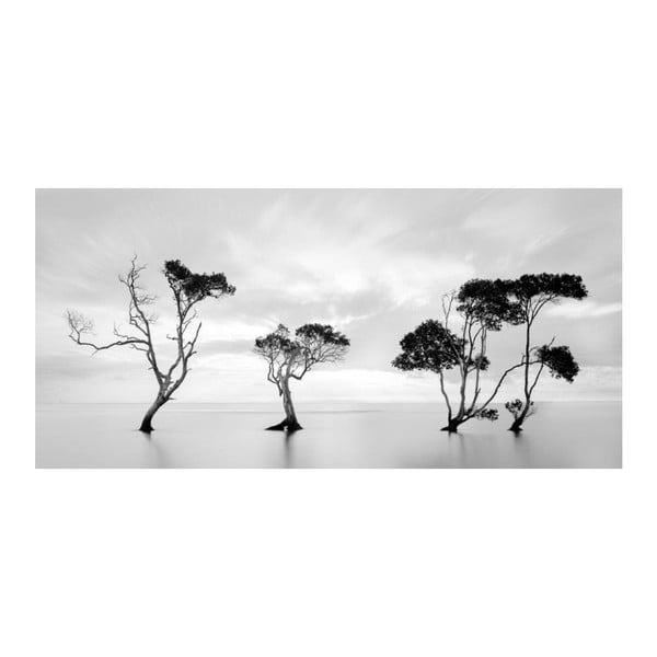 Obraz DecoMalta Black&White, 80x60 cm