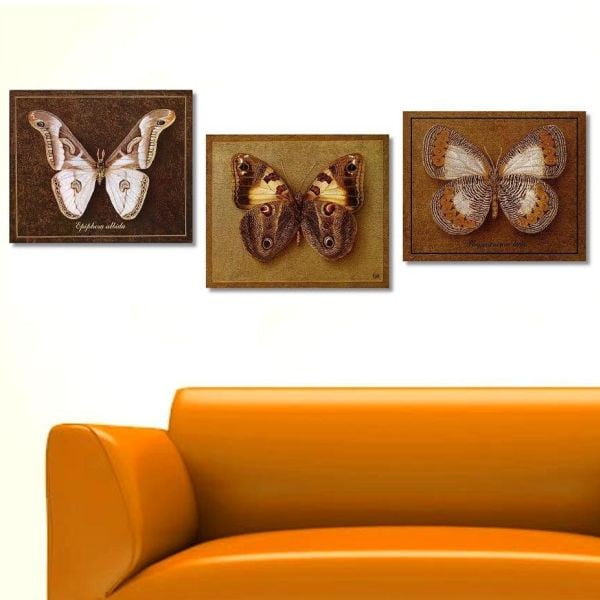 Trzyczęściowy obraz Butterfly, 45x90 cm