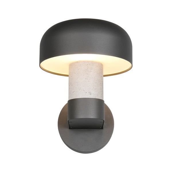 Zewnętrzna lampa ścienna (wysokość 24,5 cm) Fraser – Trio-image-3