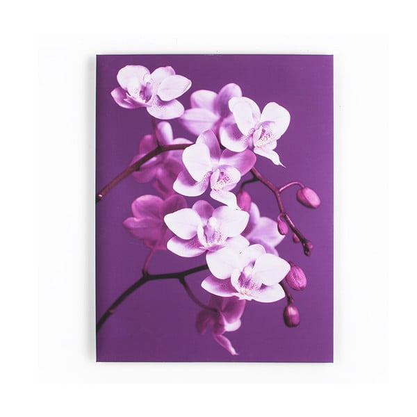 Obraz Graham & Brown Purpel Orchid, 60x80 cm