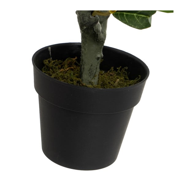 Sztuczne drzewo oliwne – Casa Selección-image-3