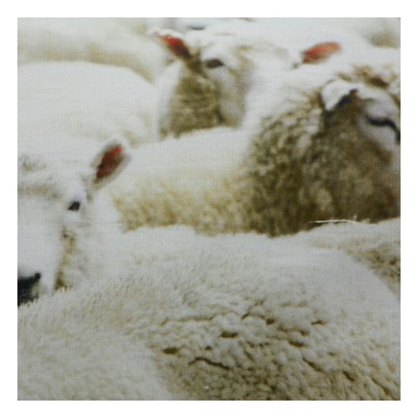 Poduszka Sheep 60x40 cm-image-1