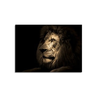 Szklany obraz 100x70 cm Lion – Styler