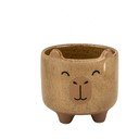 Kamionkowa ręcznie malowana osłonka na doniczkę ø 7,5 cm Mojave Capybara – Sass & Belle