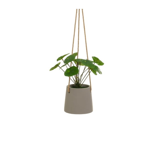 Sztuczna roślina (wysokość 24 cm) Pilea – Casa Selección-image-1