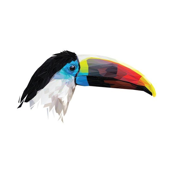 Naklejka Ambiance Toucan-image-1