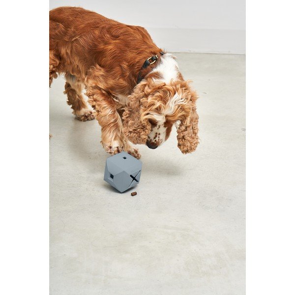 Zabawka dla psa Dado Sky – MiaCara-image-3