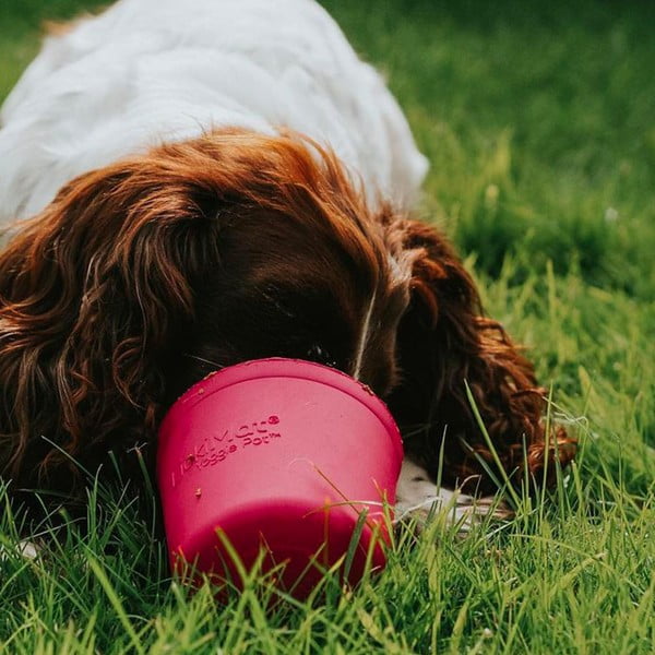 Miska do lizania Yoggie Pot Pink – LickiMat-image-1