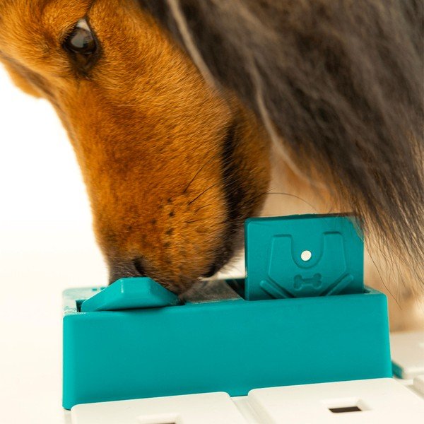 Łamigłówka dla psów Nai – Pawzler-image-2