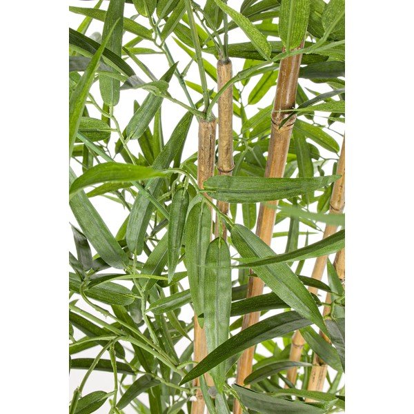 Sztuczny bambus (wysokość 155 cm) Bamboo – Bizzotto-image-1
