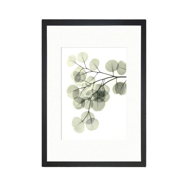 Obraz Tablo Center Leafy, 24x29 cm