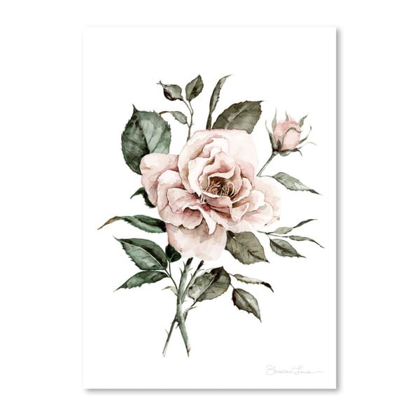 Plakat Americanflat Faded Pink Rose by Shealeen Louise, 30x42 cm