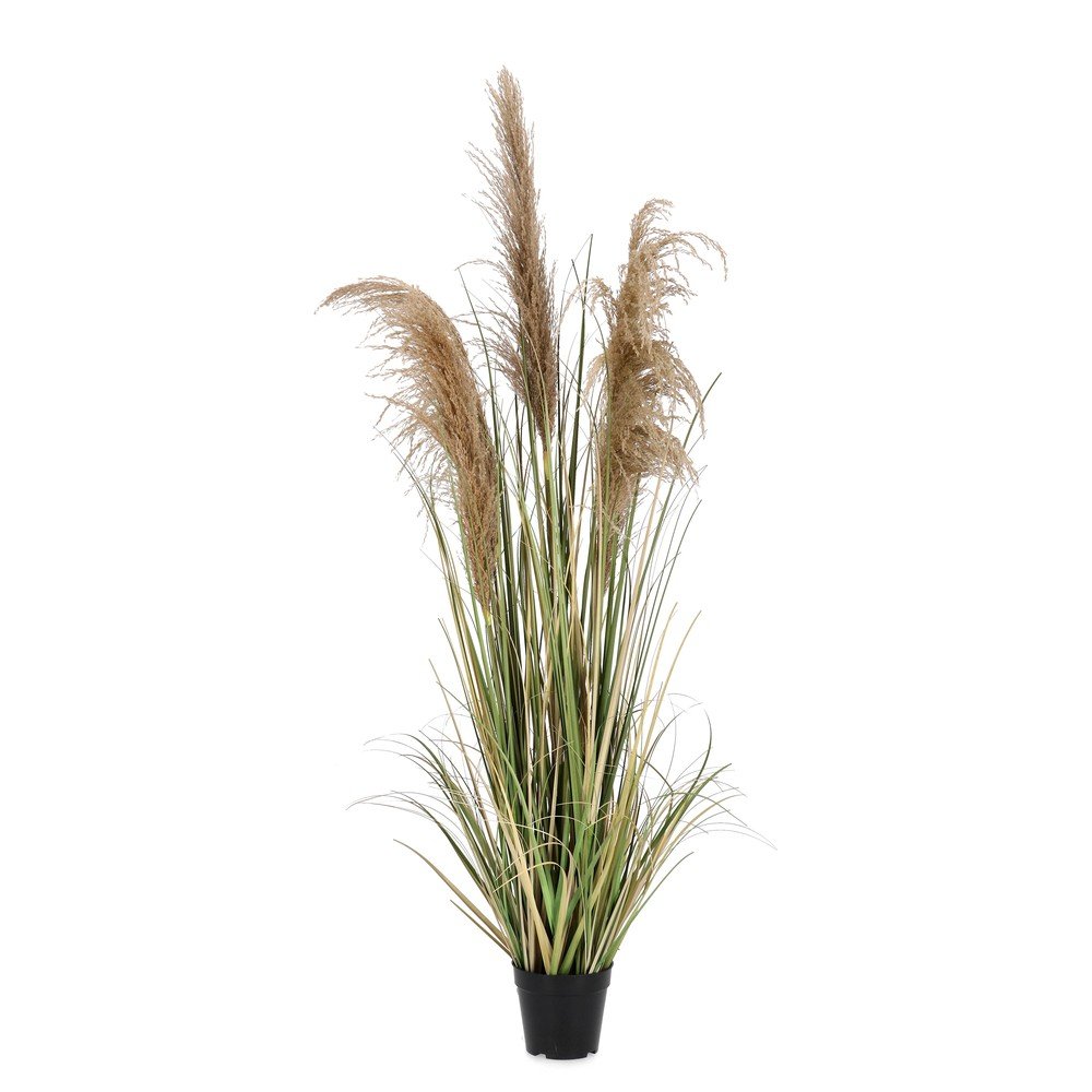 Sztuczna roślina (wysokość 145 cm) Austorderia – Bizzotto