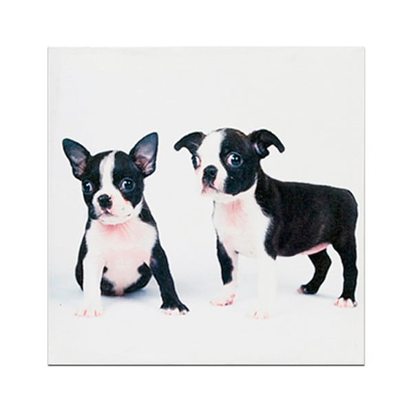 Drewniana tabliczka Little Puppies, 30x30 cm