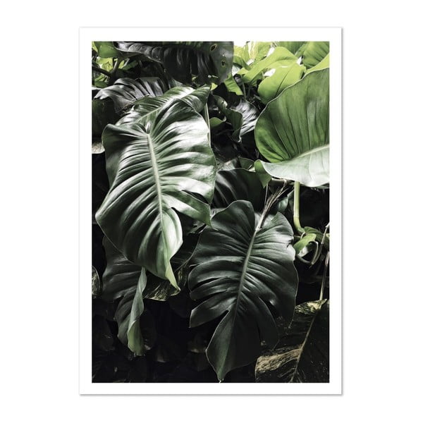 Plakat HF Living Botanic Greenery, 50x70 cm