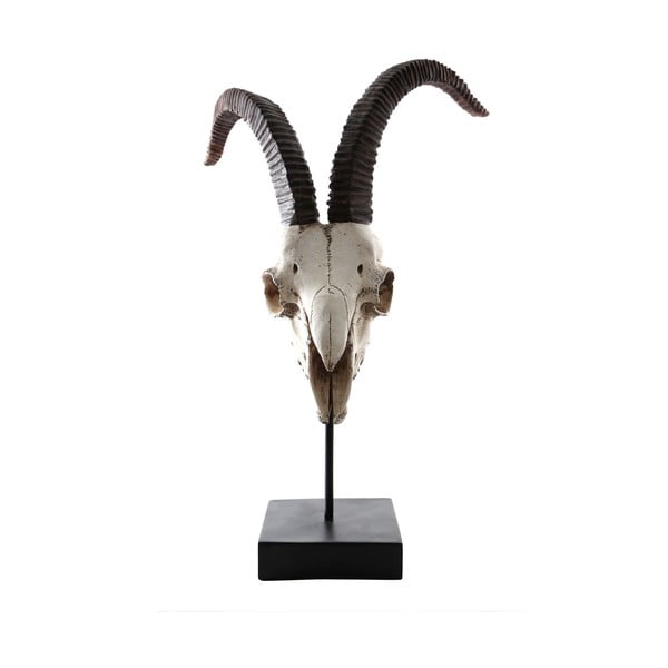 Statuetka Goat Head, 30 cm
