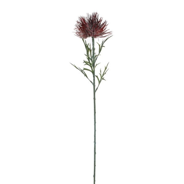 Sztuczny kwiat Ego Dekor Protea, wys. 71 cm