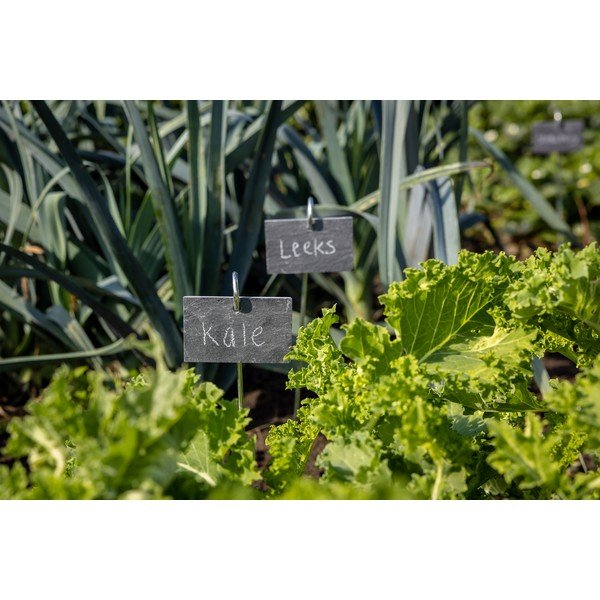 Tabliczka łupkowa na tyczce Esschert Design-image-1