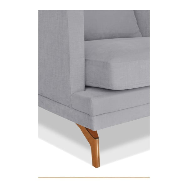 Szary fotel Windsor  & Co. Sofas Jupiter-image-3