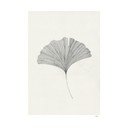 Plakat 50x70 cm Ginkgo Leaf – Ana Frois – The Poster Club
