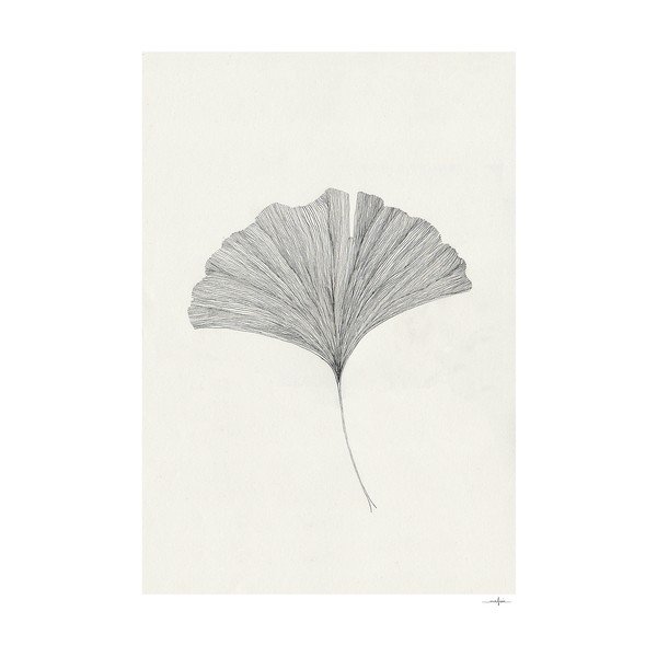 Plakat 50x70 cm Ginkgo Leaf – Ana Frois – The Poster Club