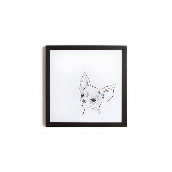 Obraz w ramie Graham & Brown Chihuahua, 40x40 cm