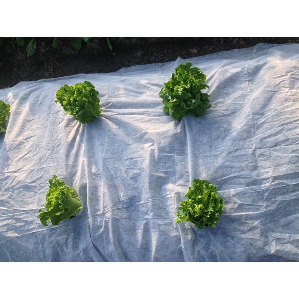 Agrotkanina przeciw chwastom – Garden Pleasure