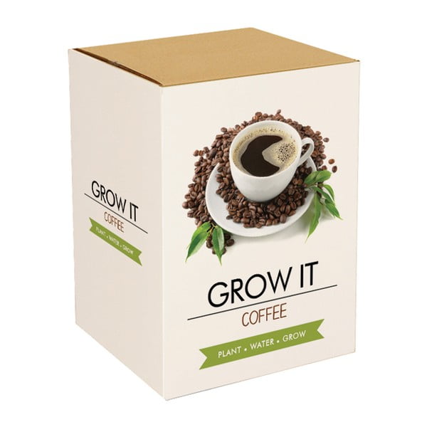 Zestaw do uprawy roślin Gift Republic Coffee