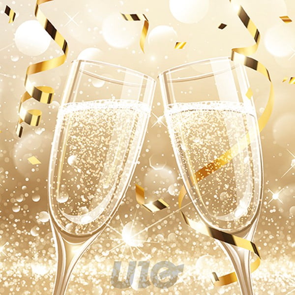 Serwetki zestaw 20 szt. 33x33 cm Noel – Homéa