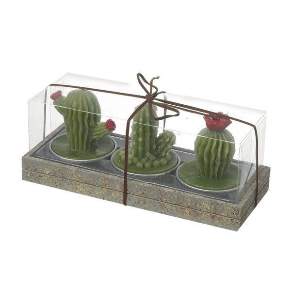 Zestaw 3 świeczek Heaven Sends Cactus