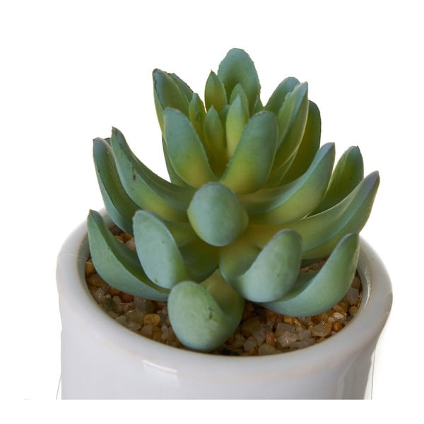 Sztuczne kwiaty zestaw 4 szt. Cactus – Casa Selección-image-2