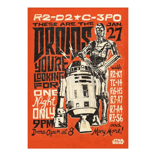 Plakat na blasze Star Wars Legends - Droids