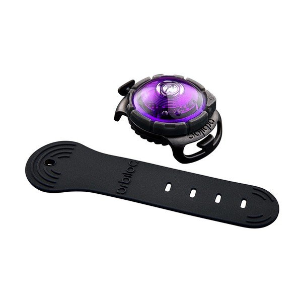 Lampka LED na obrożę Purple – Orbiloc-image-1