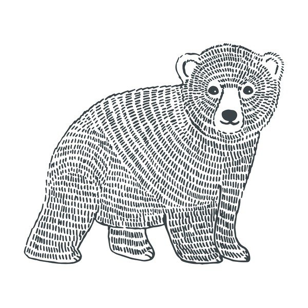 Naklejka dziecięca 47x40 cm Bear – Lilipinso