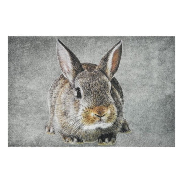 Dywanik Brown Rabbit 75x50 cm