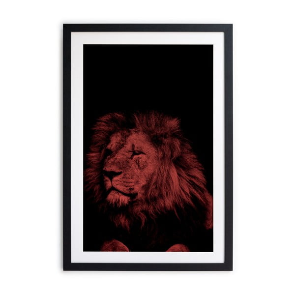 Obraz Really Nice Things Lion Roar, 40x60 cm