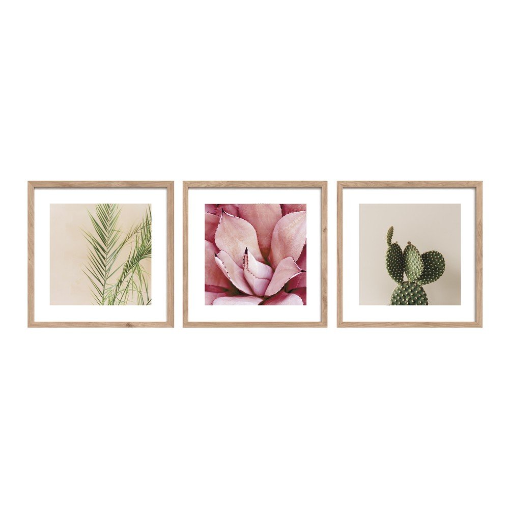Obrazy zestaw 3 szt. drukowane z ramą w zestawie 30x30 cm Fresh – Styler